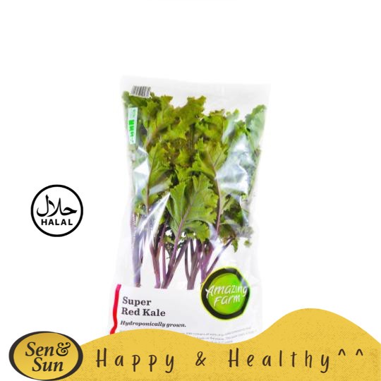 

Sen&Sun Amazing Farm Hydroponic Kale Merah 200 gr