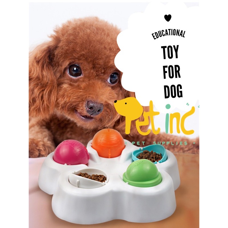 Intelligent dog educational toy