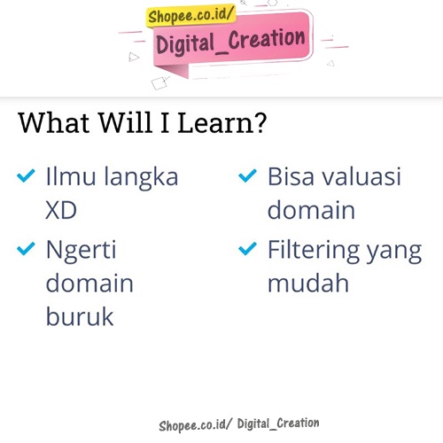 Kelas Tutorial Aged Domain SEO PBN Monetize Blog - Digital Marketing