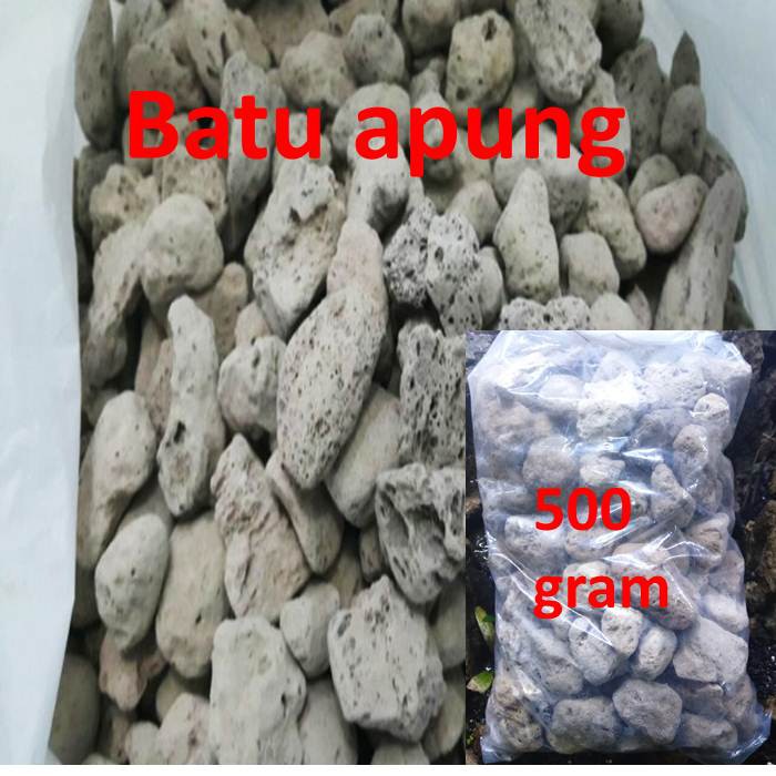 Batu Apung Kecil 500 gram Media Filter Kolam Ikan Aquarium Aquascape