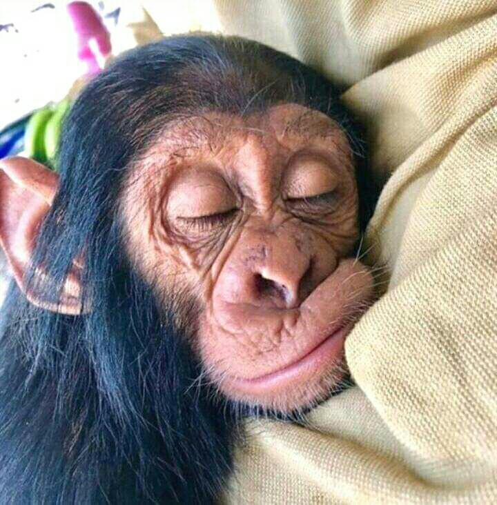 Terpal Kolam Ikan Ukuran 100x50x50 Type A3 Korea Original100%