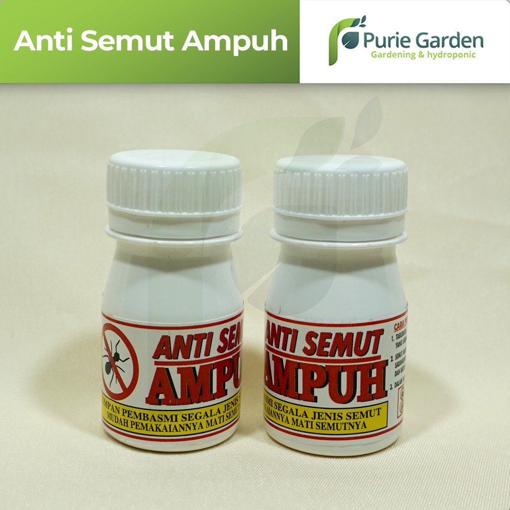 Racun/Obat Pembasmi Anti Semut Ampuh PG SBY