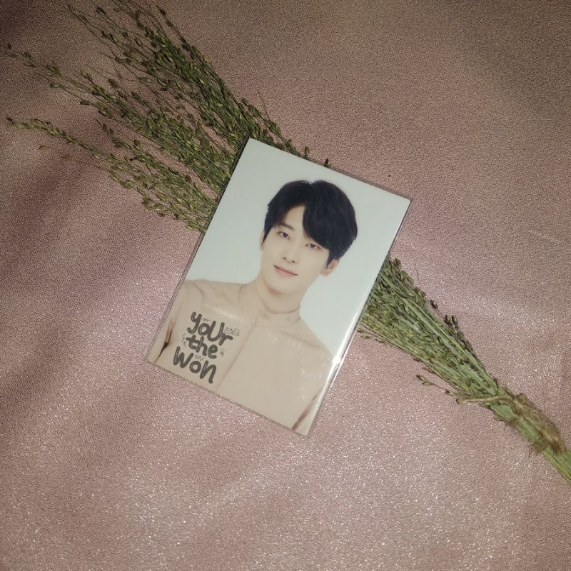 BOOKED [tc / trading card] seventeen wonwoo tokyo dome tour (todome) shitajiki