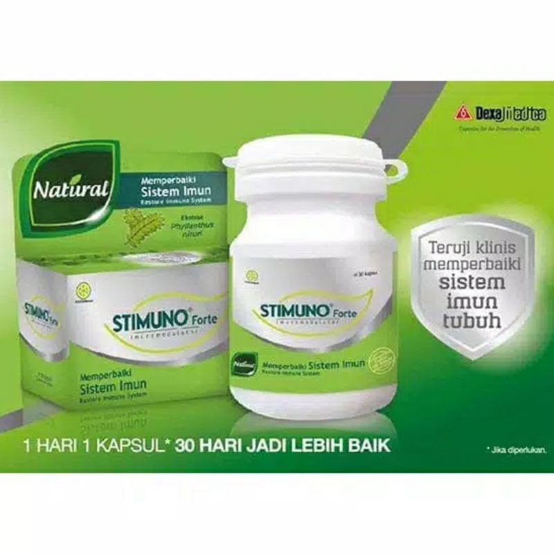 STIMUNO Forte Suplemen &amp; Multivitamin [30 Kapsul]