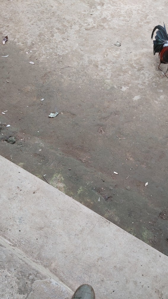 Fata - Bed Cover Only Tanpa Sprei New Minimalis King Size