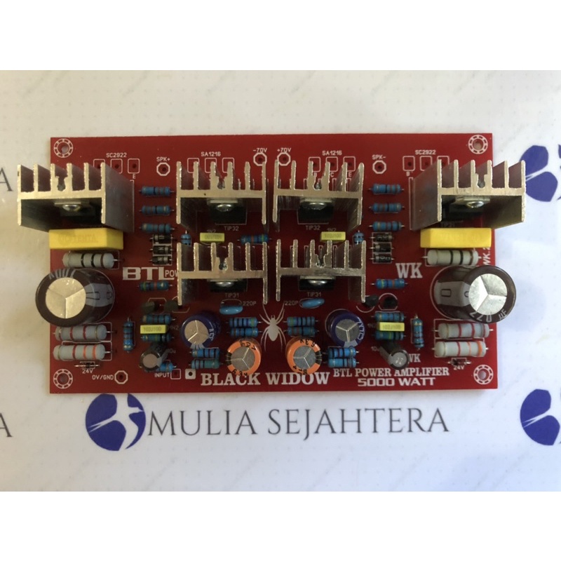 Power Amplifier 5000W Mono BTL “BLACK WIDOW”