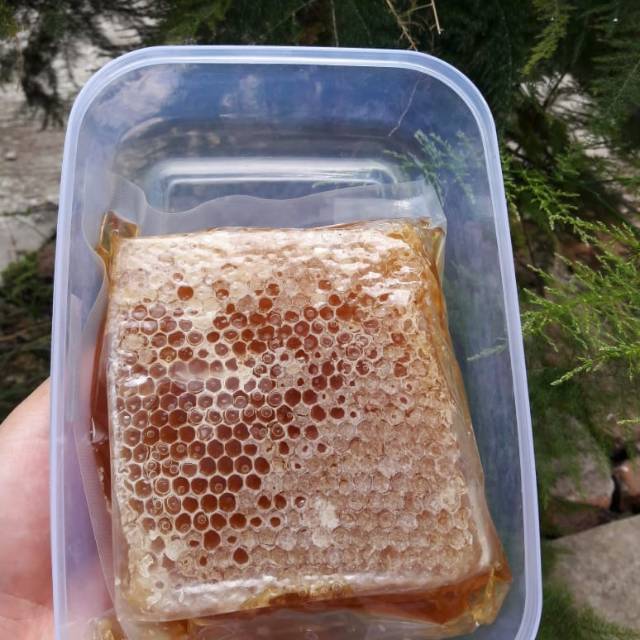 

sarang madu maliefera