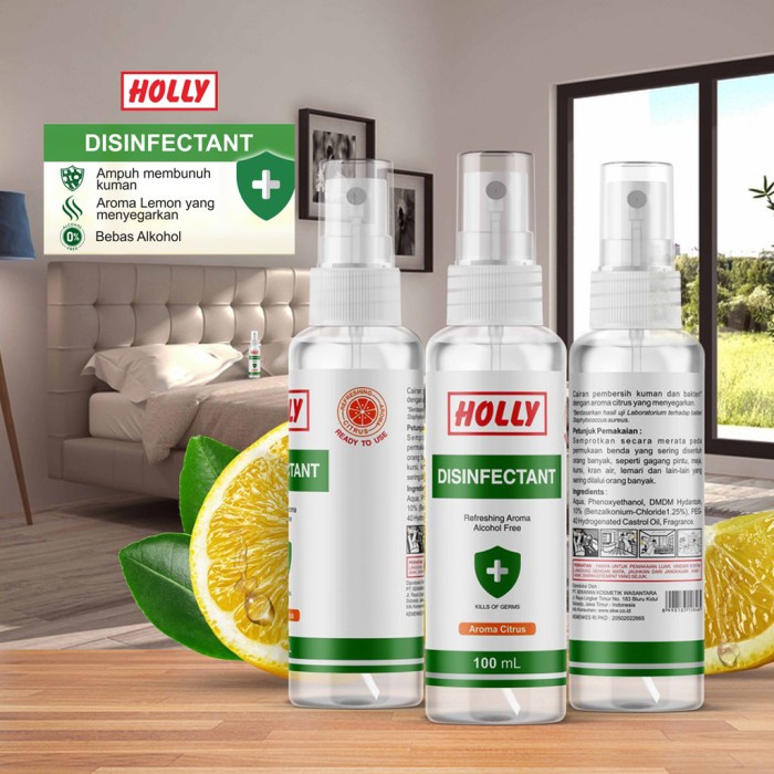 Holly Disinfectant Spray 100 ml