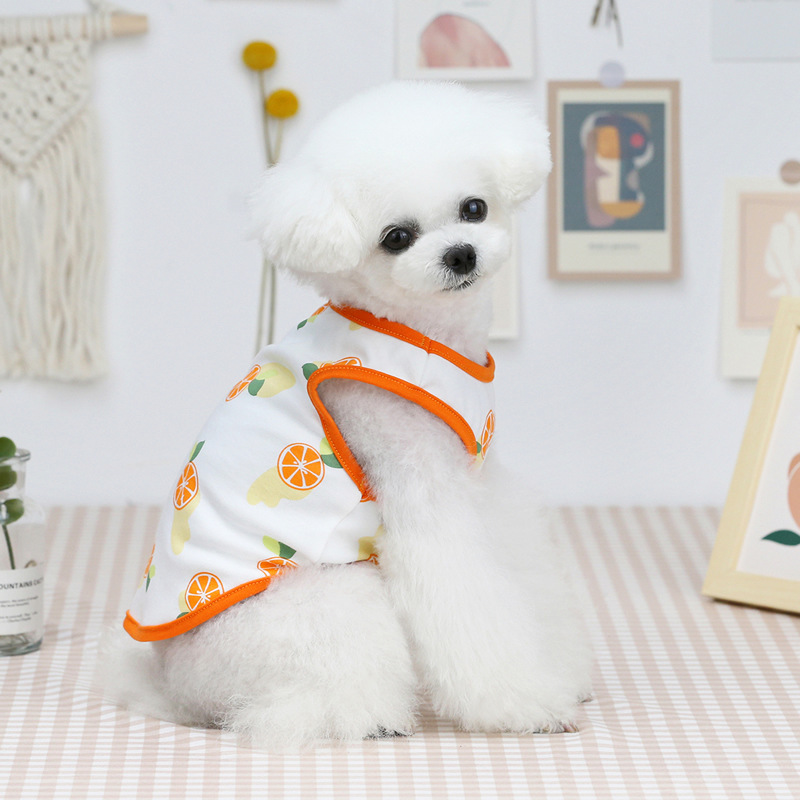 ★〓YUFeiPet〓★ Pet Dog Summer New Clothing Cute Thin Five-color Fruit Vest Casual Unisex Dogs Poodle Pug Dress Vest Shirt Dog Clothing T-shirt