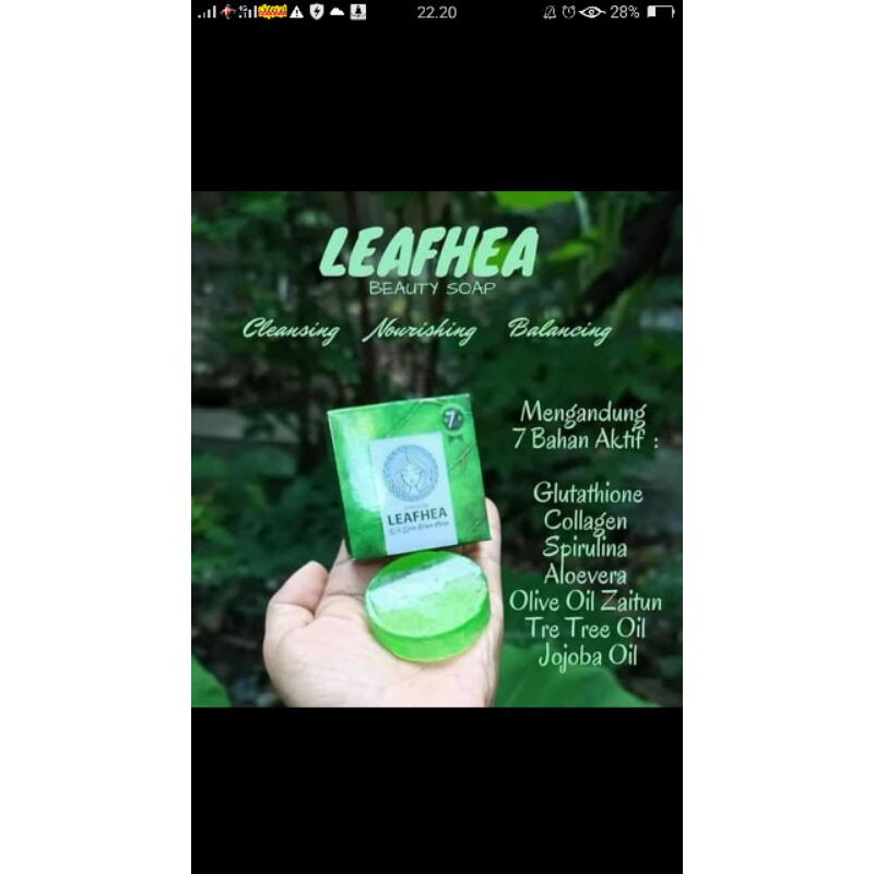 

LEAFHEA