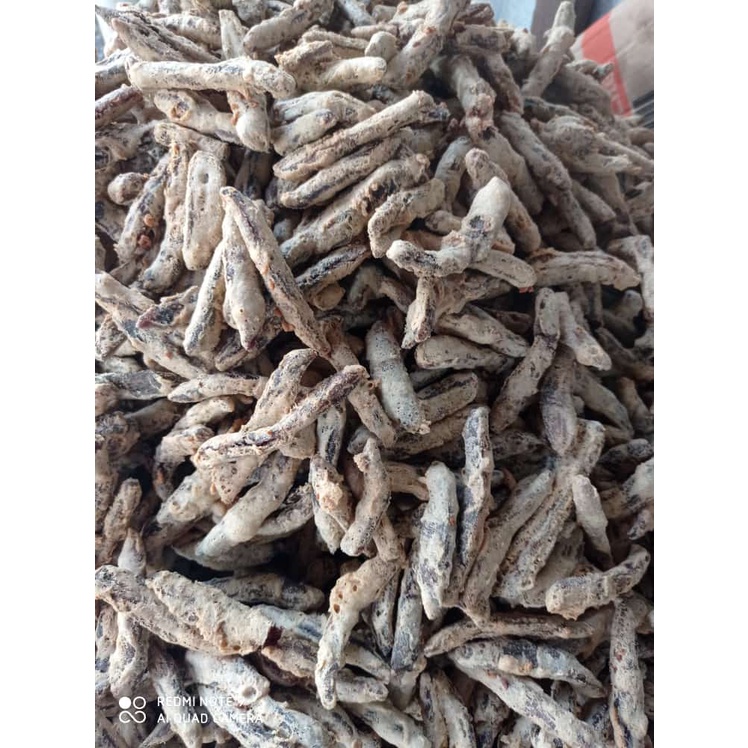 

SALE PISANG BERLIN GURIH GROSIR 500 gr, 1000 gr