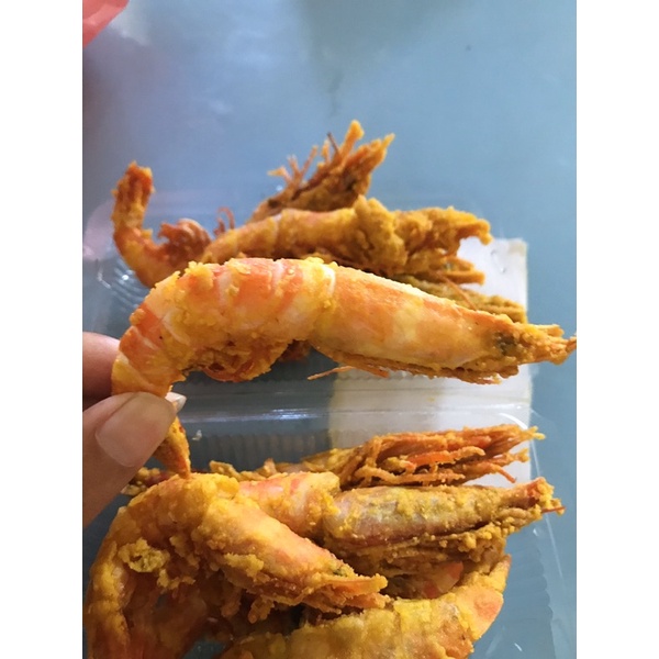 

UDANG LAUT JUMBO GURIH RENYAH KHAS PANTAI PARANGTRITIS JOGJA