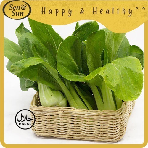 

Sen&Sun Pak Choy Conventional 500 gram