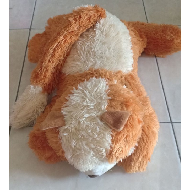 Boneka kucing