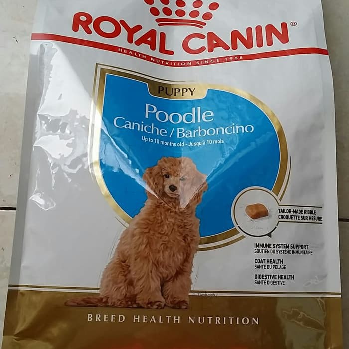 royal canin poodle