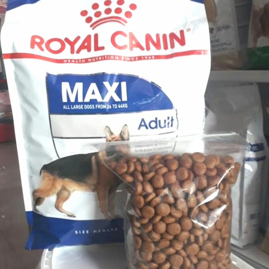 ROYAL CANIN MAXI ADULT 1 KG RC MAXI ADULT REPACK 1 KG DOG FOOD