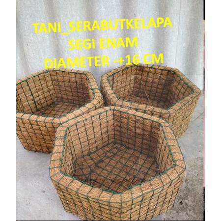 POT BUNGA ANGGREK SERABUT KELAPA -  POT ANGGREK KELAPA - POT SERABUT KELAPA