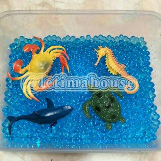 Water Beads Biru