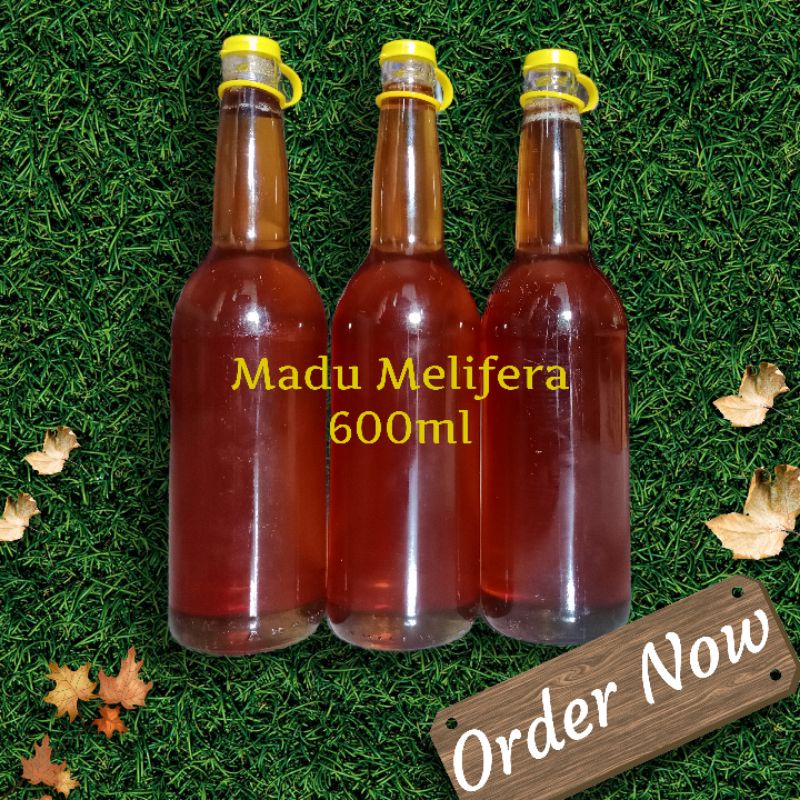 

Madu Melifera murni / madu apis mellifera / lebah madu barat 600ml