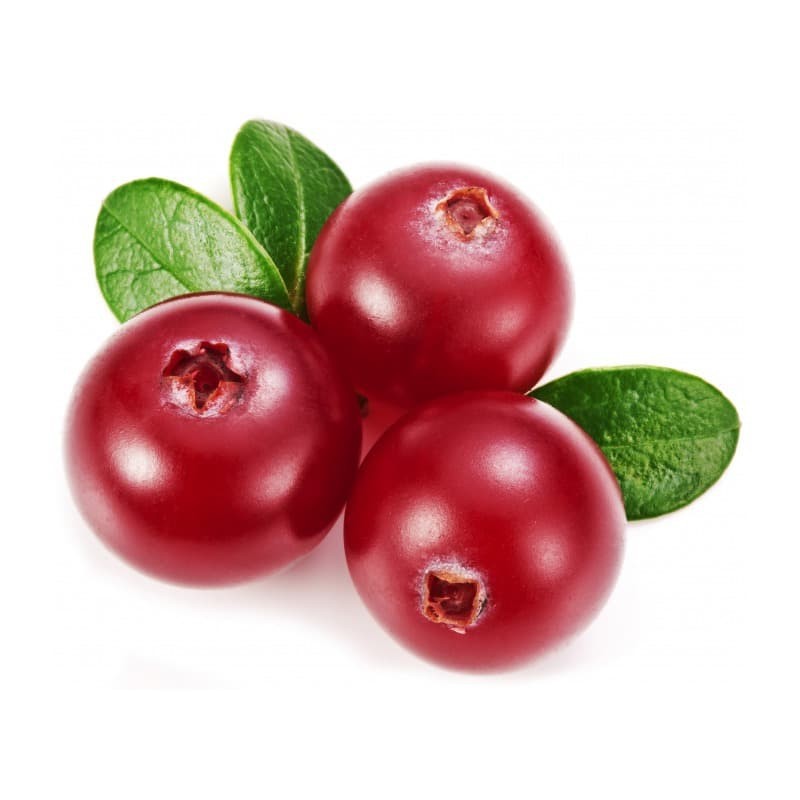 Benih Bibit Biji - Buah Red Cranberry Merah Kranberi Berries Fruit Seeds - IMPORT