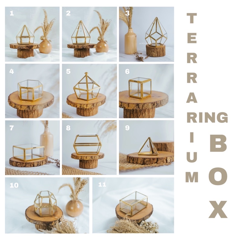 Ringbox terrarium kotak cincin unik dan murah