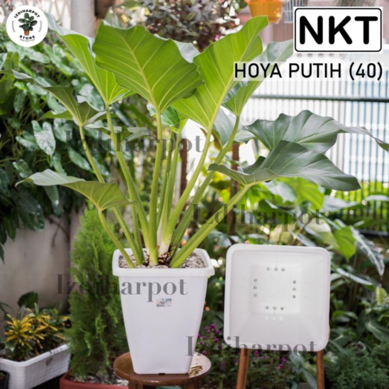 pot bunga tanaman kotak tinggi HOYA 40 PUTIH diameter 31cm - NKT HOYA