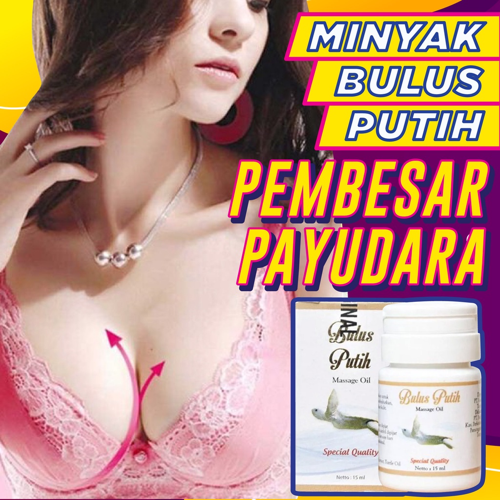 Minyak Bulus Putih Asli Original Pembesar Pengencang Payudara
