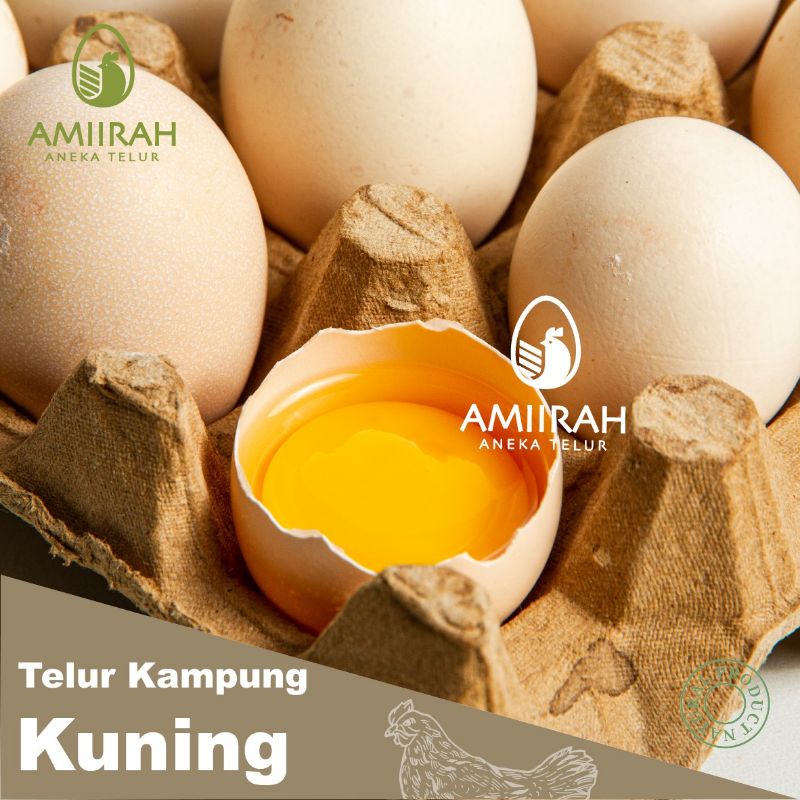 

Telur Ayam kampung Kuning Fresh Amiirah Telur per butir