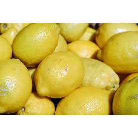 

Jeruk Lemon Import