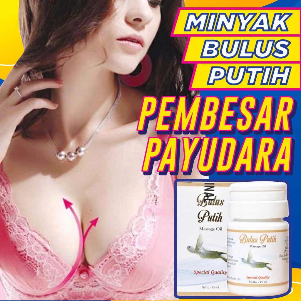 Minyak Bulus Putih Obat Pembesar Payudara Ampuh Permanen Breast Minyak Bulus Pengencang Payudara yg Kendur BPOM