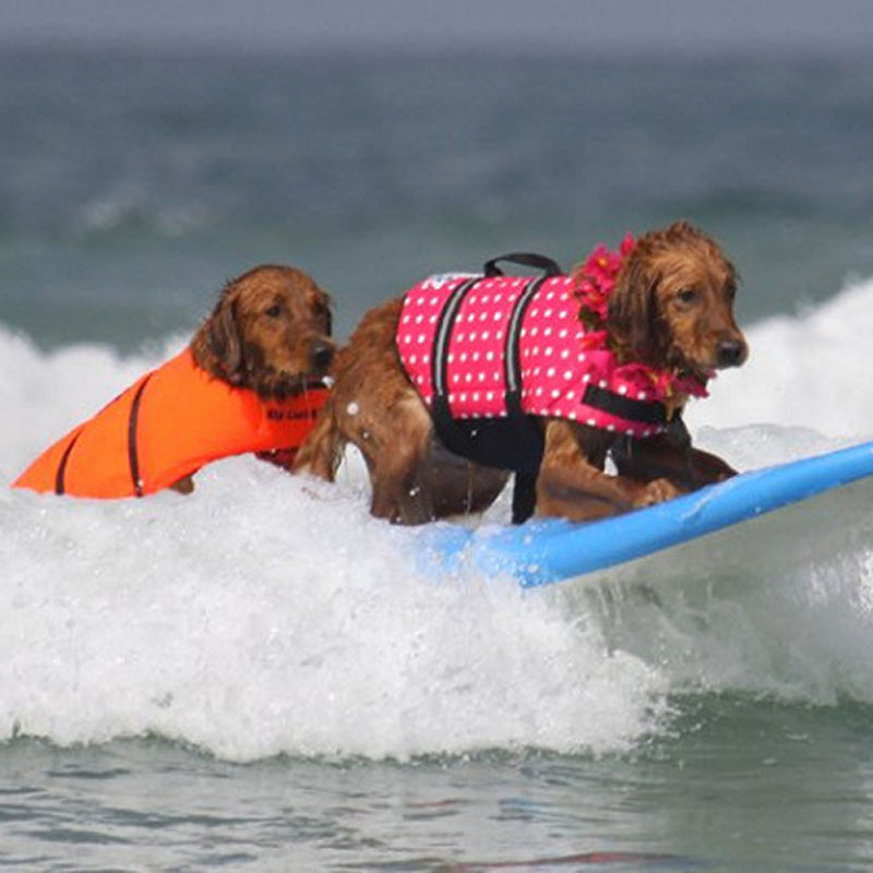 Rompi Pelampung Anjing Musim Panas Dicetak Jaket Pelampung Hewan Peliharaan Anjing Pakaian Safety Anjing Pakaian Renang Hewan Peliharaan Safety Renang Suit