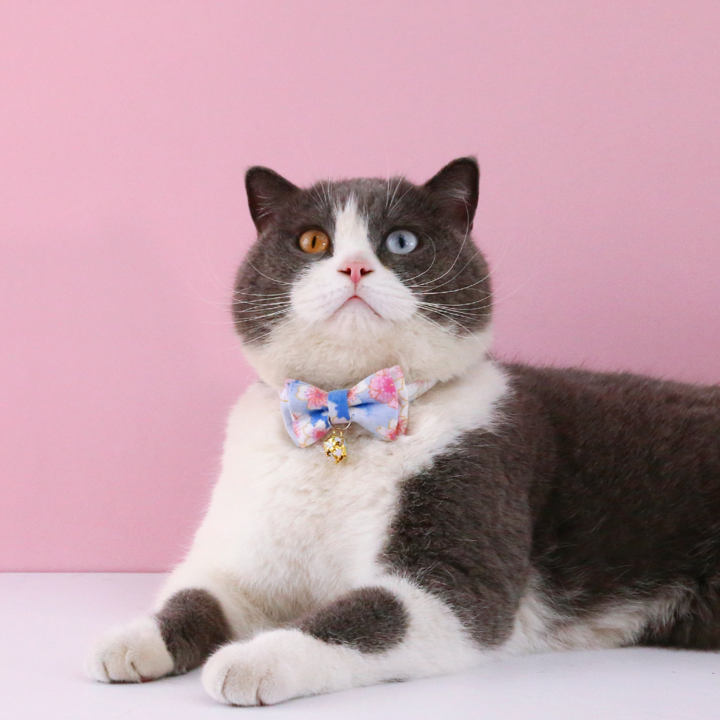 Pet cat collar flower bow with bell pendant print detachable bow tie cat dog adjustable Kalung Aksesoris