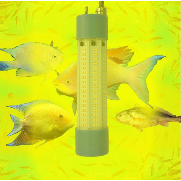 [Jianxin] 12-24v 13W LED Celup Air Tawar Air Asin Underwater Fishing Light Lamp