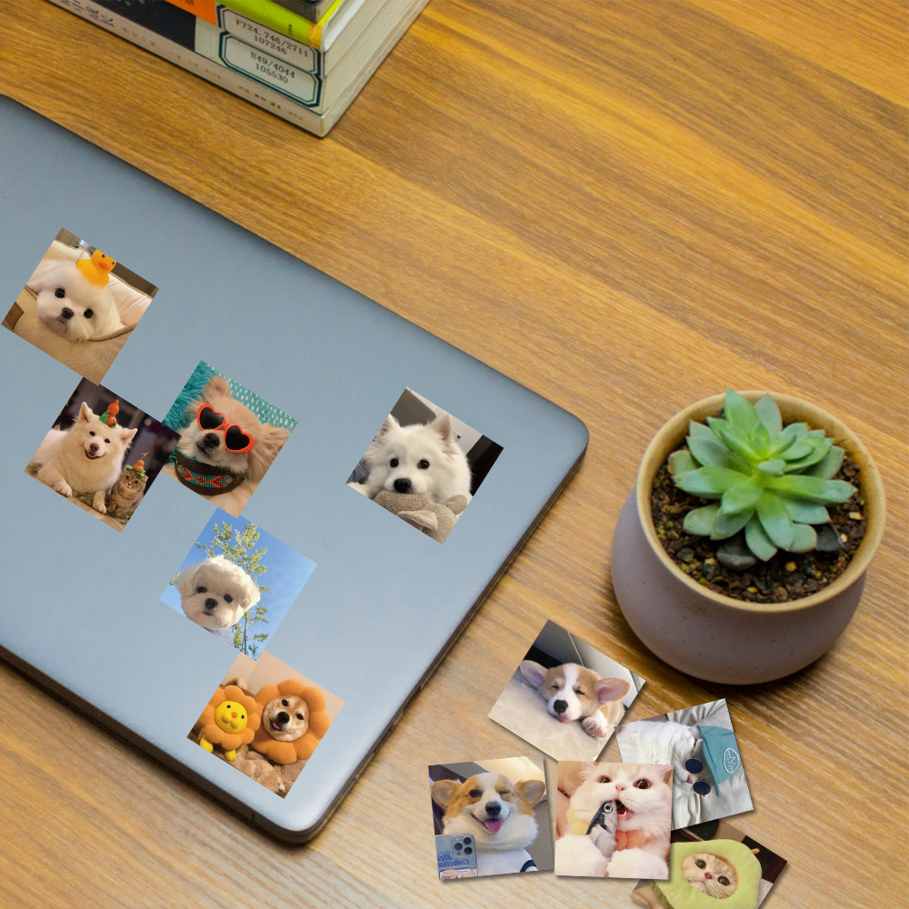 [in Stock] 52 Pcs Lucu Kucing Dan Anjing Peliharaan Grafiti Stiker Indah Tangan Akun Helm laptop Dekorasi Tahan Air Stiker