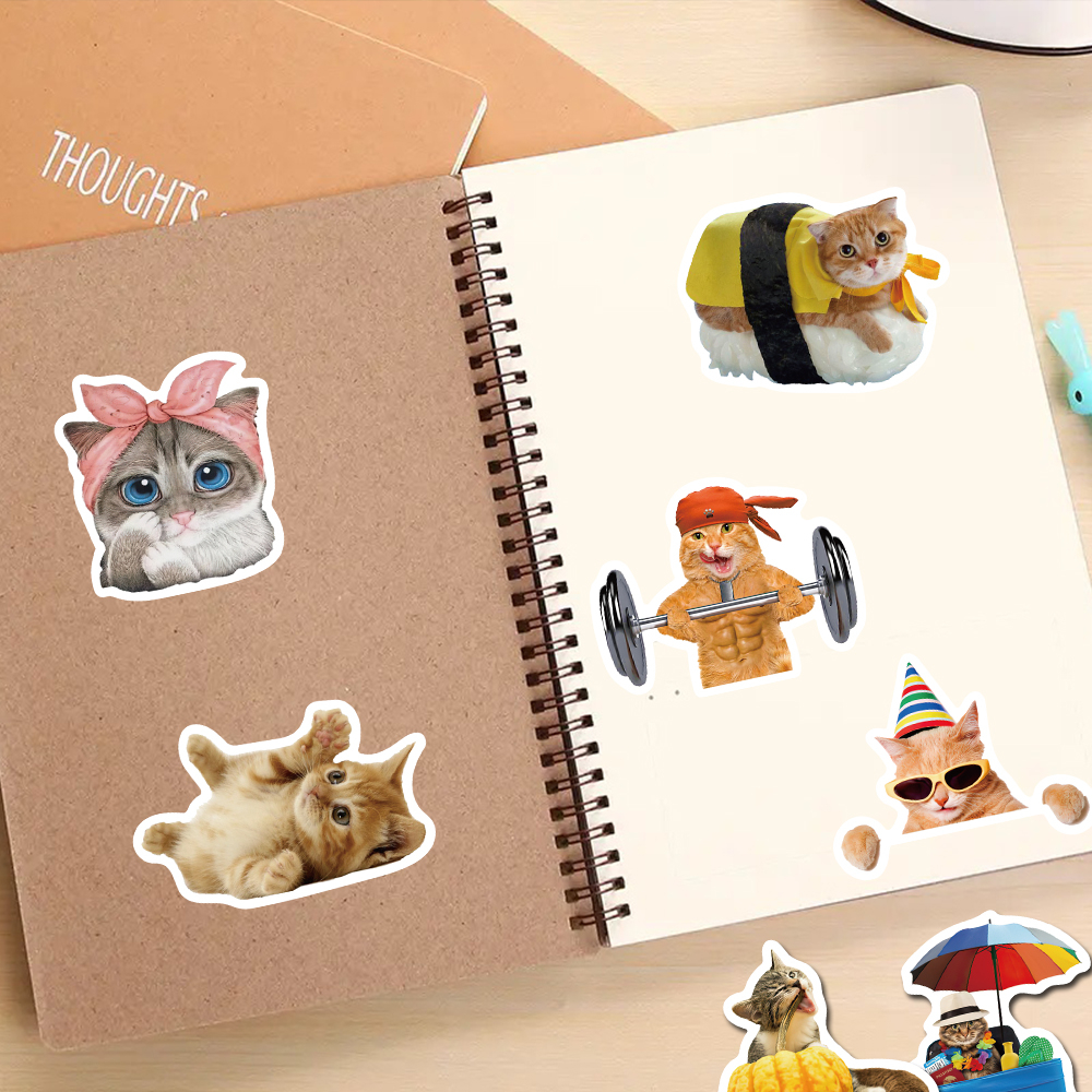 [in Stock] 50 Pcs Kucing Menyenangkan Lucu Stiker Indah Kreatif Tangan Buku Besar Stiker Laptop Ponsel Cangkir Air Tahan Air Stiker