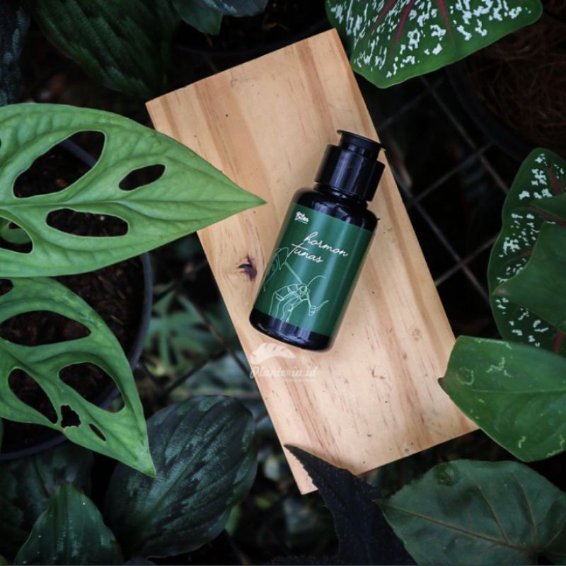 Hormon Tunas Perangsang Tunas Tanaman Hias 60ml