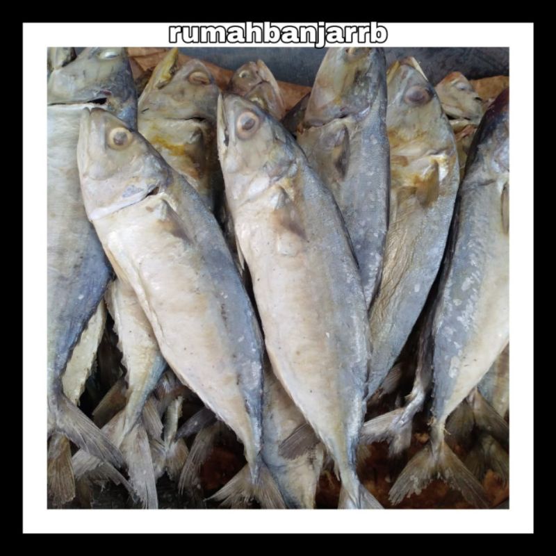 

[BAYAR DI TEMPAT] IKAN PEDA KERING PER EKOR