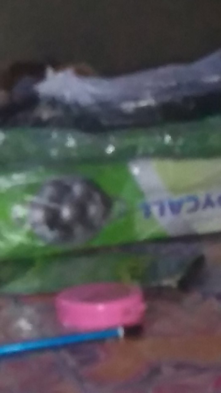 Rosita Panci Susu Stainless Steel Gagang 17cm