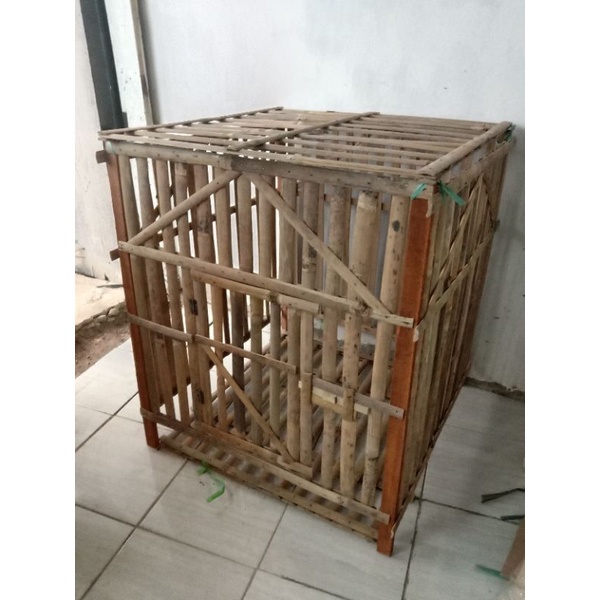 KANDANG AYAM BAMBU KOTAK