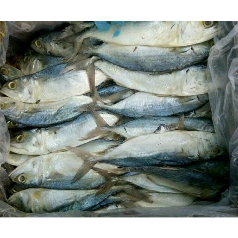 

ikan asin