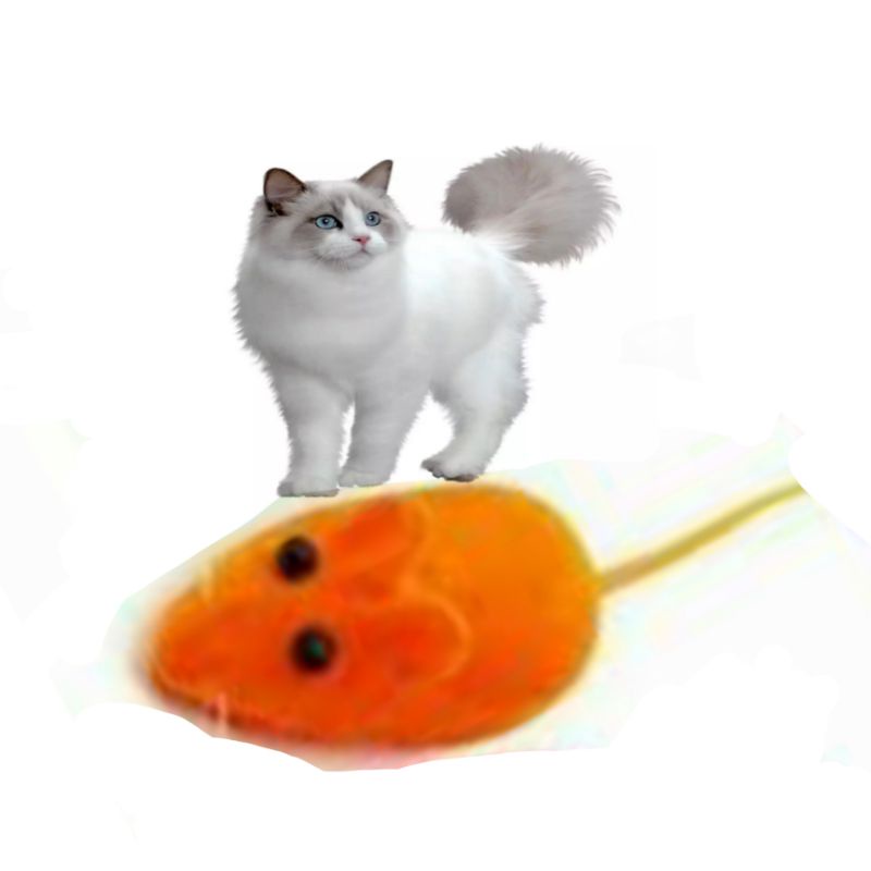 Mainan kucing tikus bunyi nyit_nyit WARNA ORANGE