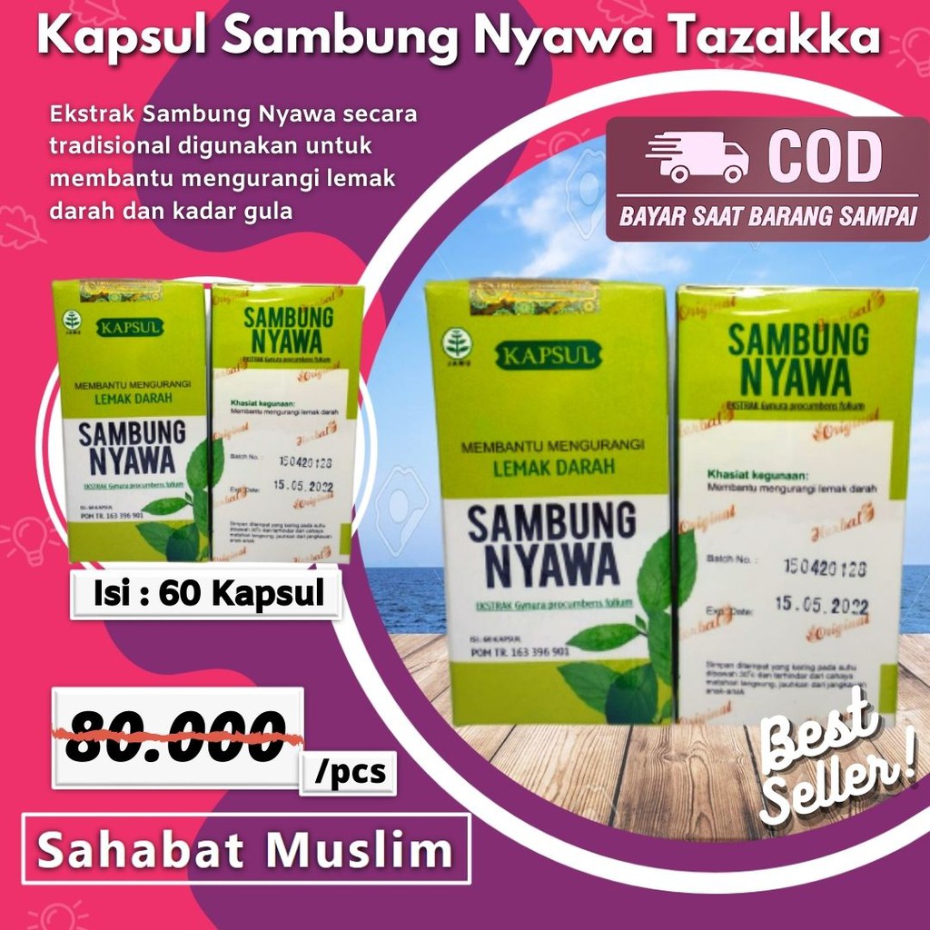 

Kapsul Sambung Nyawa Tazakka Obat Herbal Atasi Lemak Darah Kolestrol