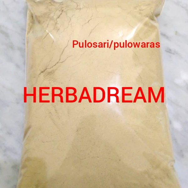

250 GRAM BUBUK PULOSARI PALASANE PULASARI PALASARI CALAPRI ALYXIA OLIVIFORMIS PULASANE POWDER TEPUNG SERBUK PREMIUM ORGANIK