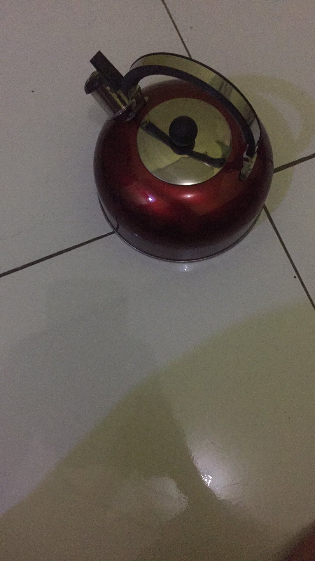 Teko Siul Polos 3 Liter Pemanas Air Minum 3000 Ml Kettle Stainlless