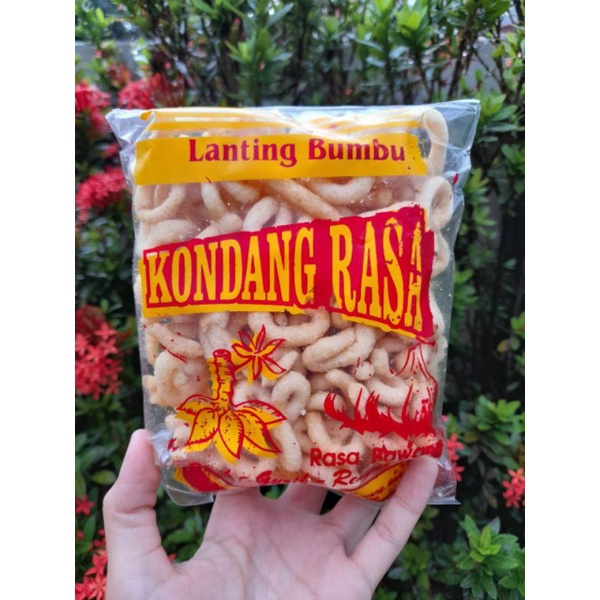 

Klanting Lanting Singkong Bumbu Oleh-oleh Khas Jawa Tengah Kebumen