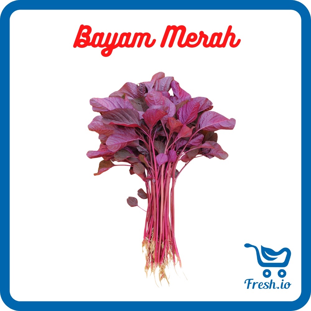 

Bayam Merah