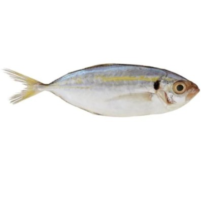 

Selar ~500gr [Sudah dibersihkan, Frozen]