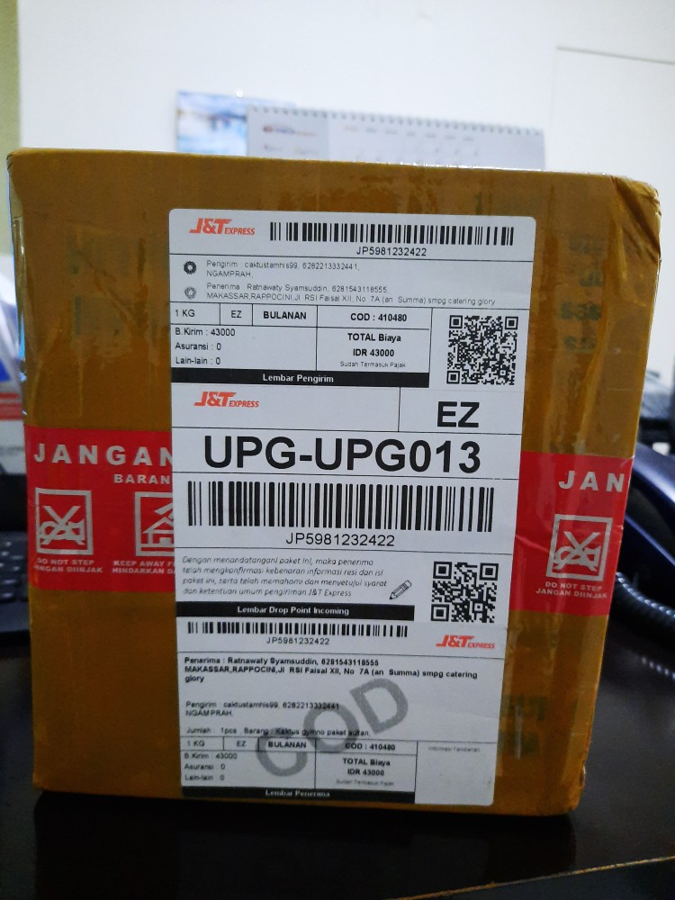 Kaktus Gymno Paket Sultan Dipot 10cm