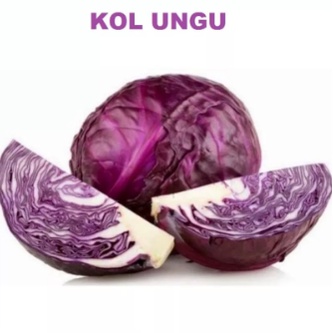 Benih Kol Ungu Kubis Ungu