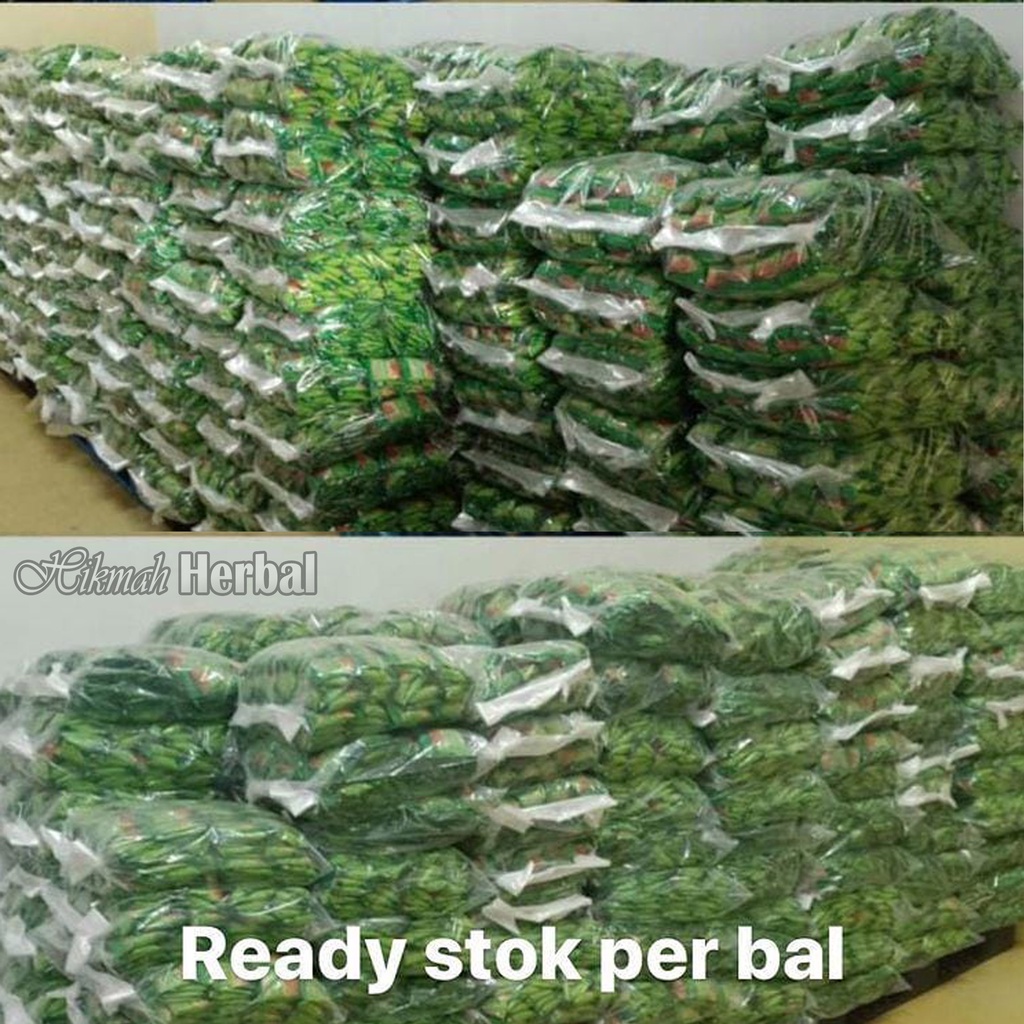 

Jahe Merah Amanah habbatussauda, Gingseng, Madu Bal Asli Murah